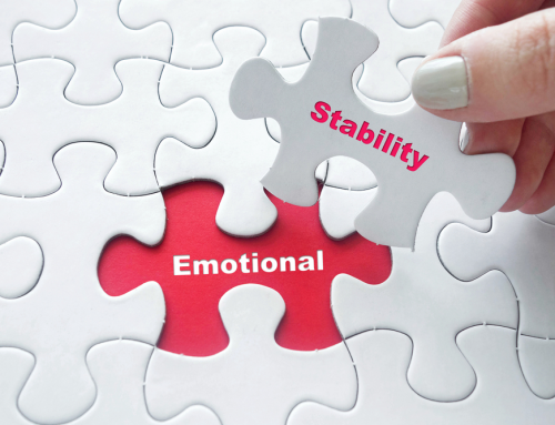 WHAT DO THE BEST EMOTIONAL STABILITY PROGRAMMES IN THE USA TEACH?